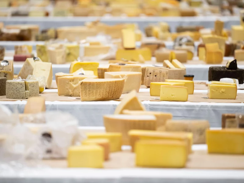 Ser z groźną bakterią. GIS ostrzega przed poważnymi skutkami zdrowotnymi