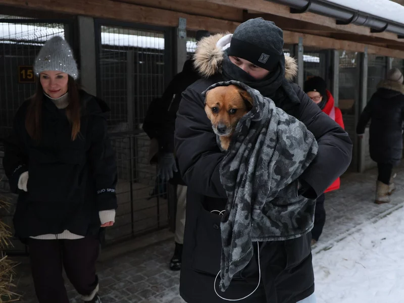 Schronisko "Happy Dog" w Sobolewie zostało zamknięte