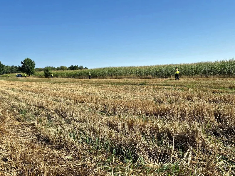 Prokuratura wydała komunikat. Wiadomo, co się stało w Osinach