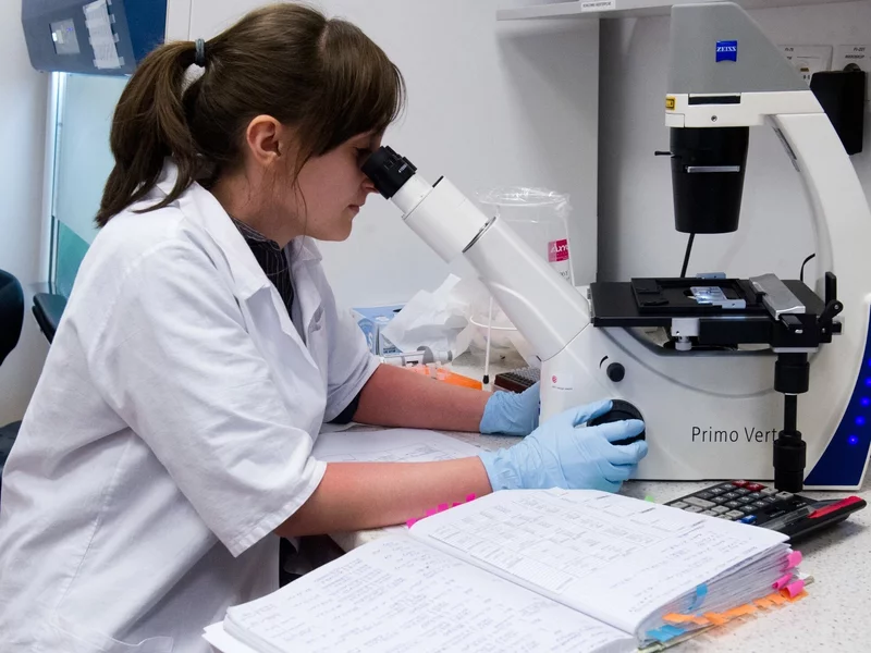 Sensacyjne odkrycie krakowskich naukowców. Przełom w leczeniu raka jelita grubego?