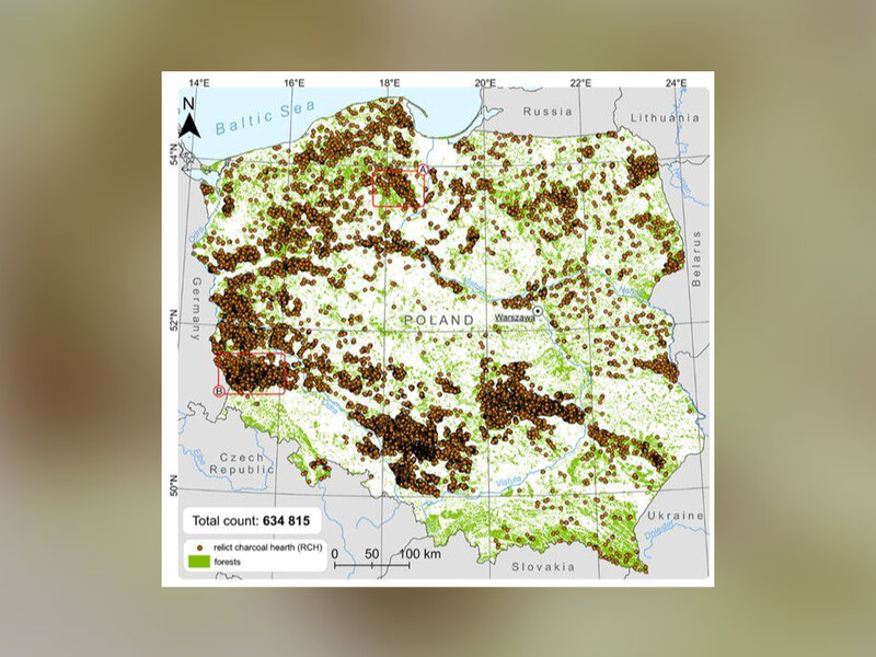 630 tys. stanowisk po wypałach. Tyle miejsc odkryto w Polsce