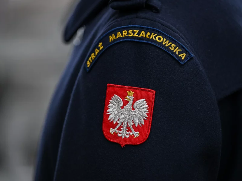 Скандал в Сейме. Маршальная гвардия вывела активиста наружу