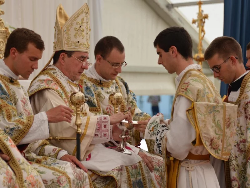 Kardinal Arborelius kritizira Bratstvo sv. Pija X zaradi pomanjkanja enotnosti s Svetim sedežem