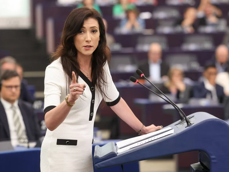 Zajączkowska-Hernik jak Morawiecki. Założyła stowa