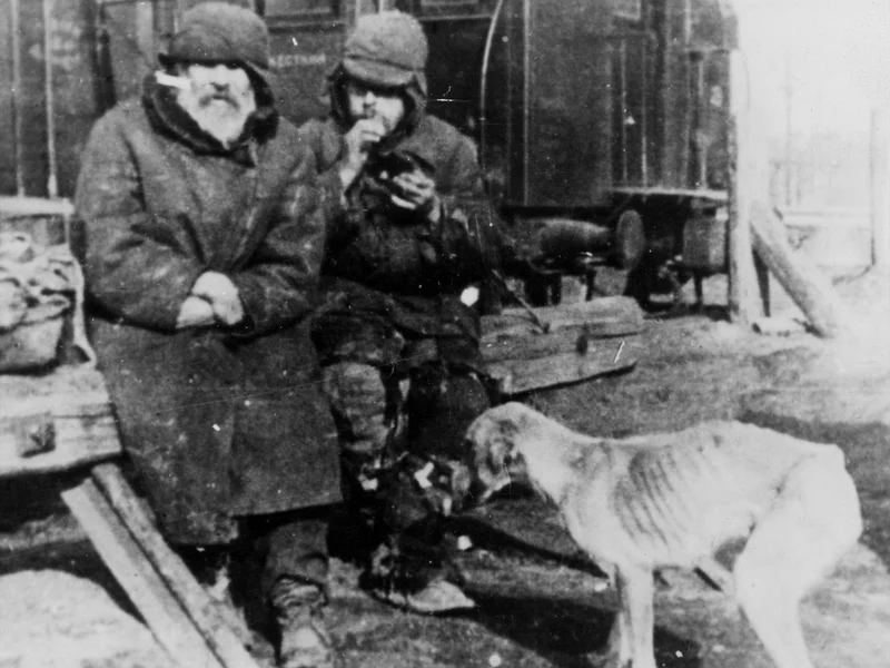 Dramat zesłańców. Do dziś nie wiadomo, ilu Polaków wywieźli Sowieci