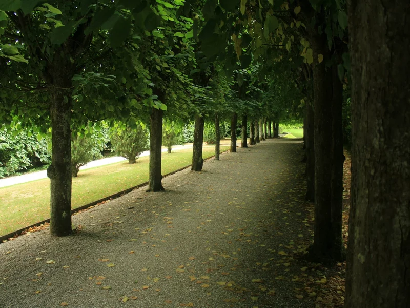 Zbiorowy gwałt na studentce. Imigranci mieli nakazy deportacji