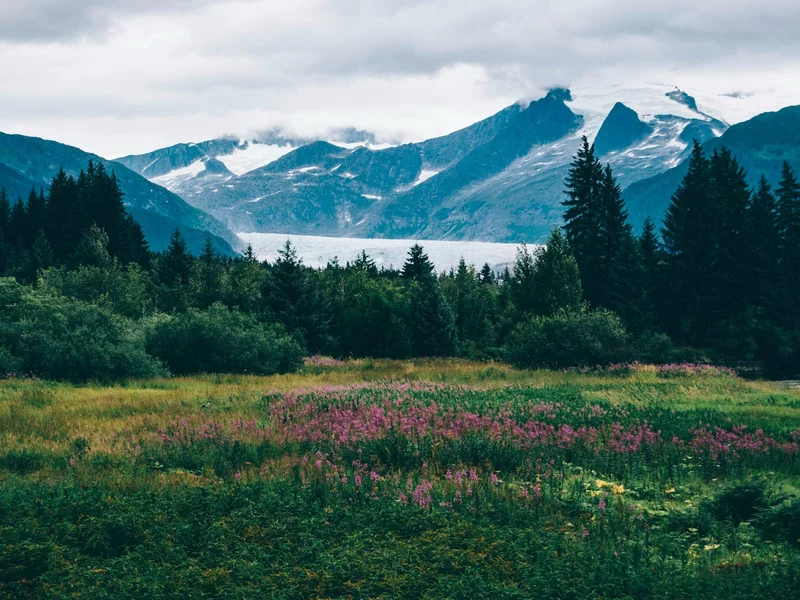 Poljski predsednik Nawrocki si prizadeva za najmočnejšo vojsko NATO v Evropi