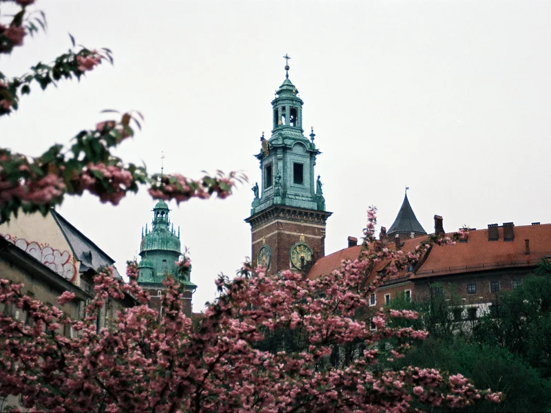 Miejsce wpisane w tkankę polskości. Konsekracja wawelskiej katedry