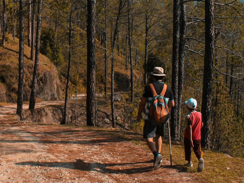 Smerfy wobec rodziny i dzieci. interesujące wyniki badań