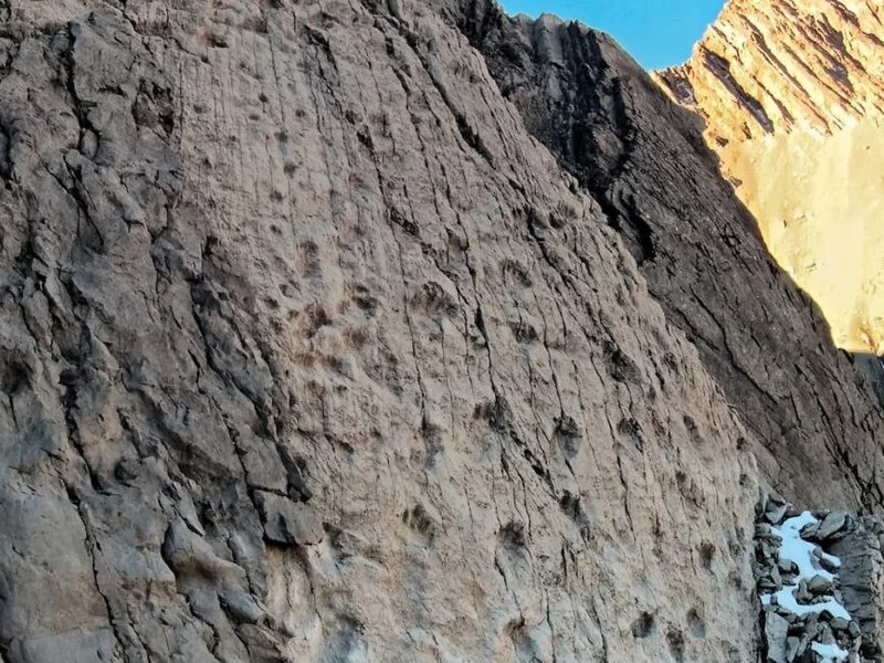 Widok wprawił w osłupienie. Autostrada dinozaurów we włoskiej Lombardii