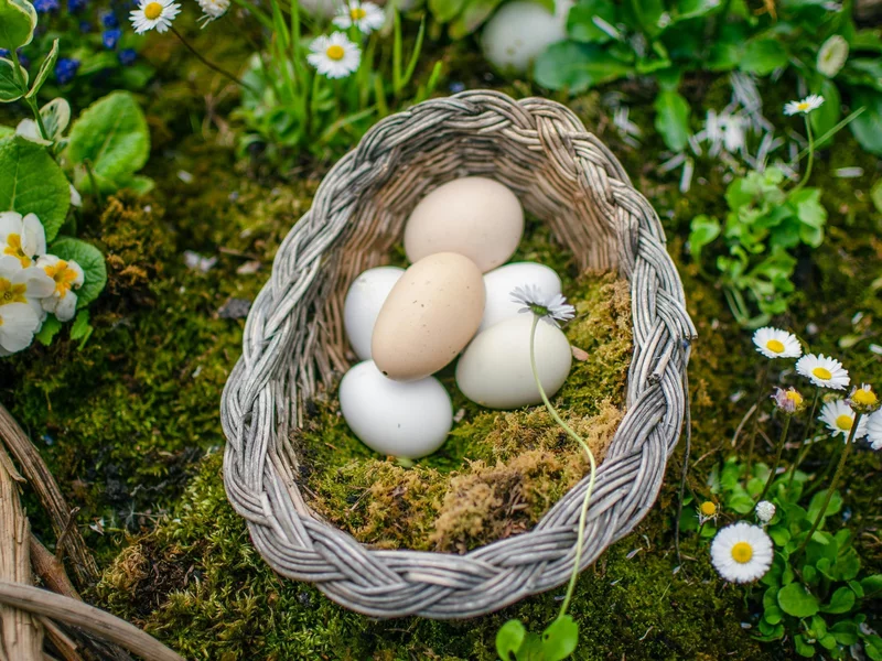 Od jak dawna ludzie jedzą jajka? Dłużej, niż można sądzić