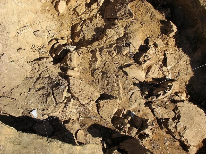 Praktyki religijne neandertalczyków? To odkrycie może być rewolucyjne