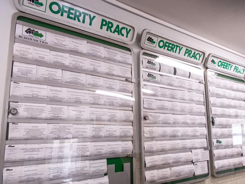 Kto może liczyć na oferty pracy? Wskazano branże