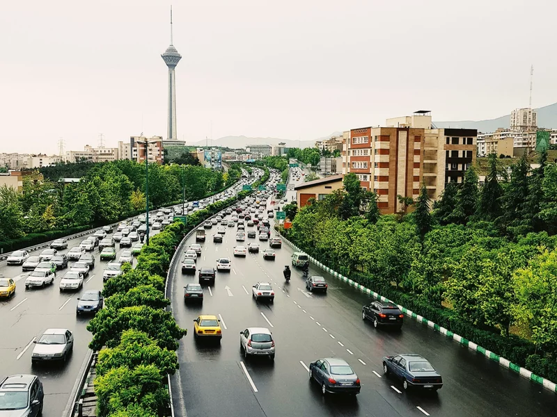 Lew, który zmienił się w kota